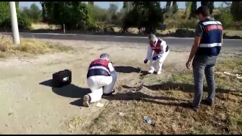 DNA örnekleri bütün foyalarını ortaya çıkardı
