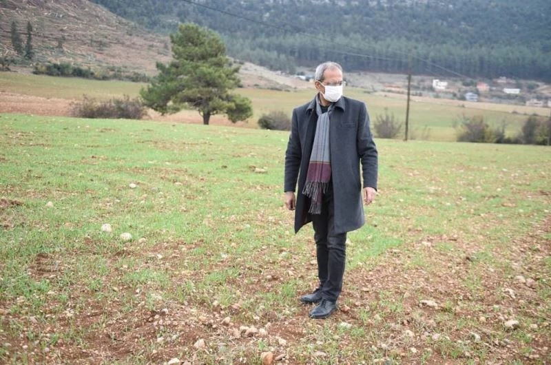 Tarsus’ta ’ata tohumu’ projesi toprakta hayat buldu
