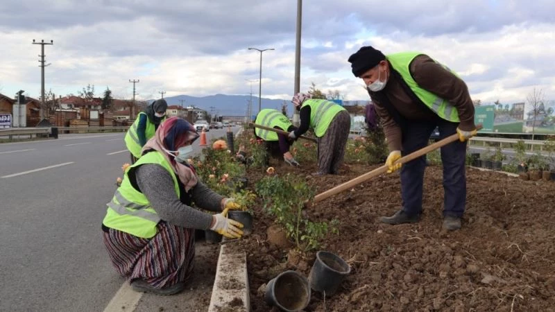 Refüjler çiçekleniyor
