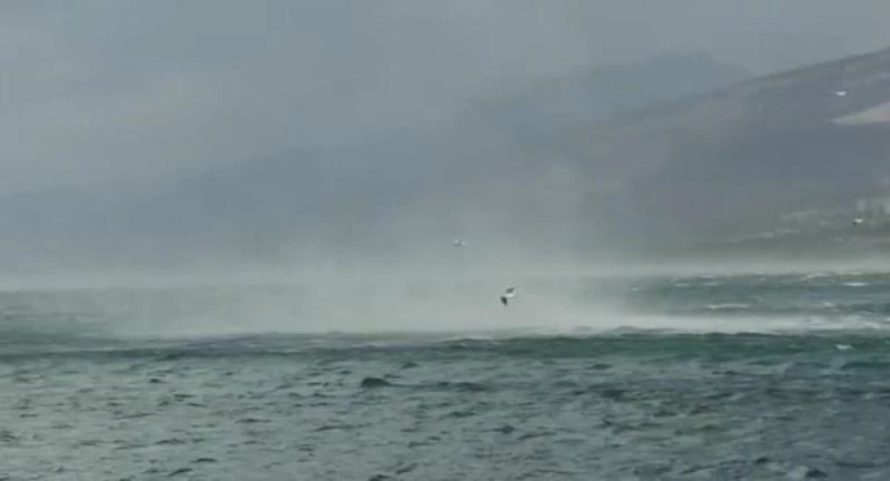 Hortum denizdeki martıları böyle savurdu
