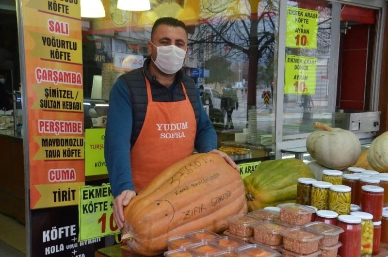 Dev kabaklar ilgi odağı oldu
