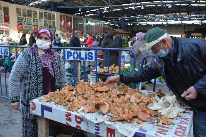 Sinop’ta kanlıca pazara indi
