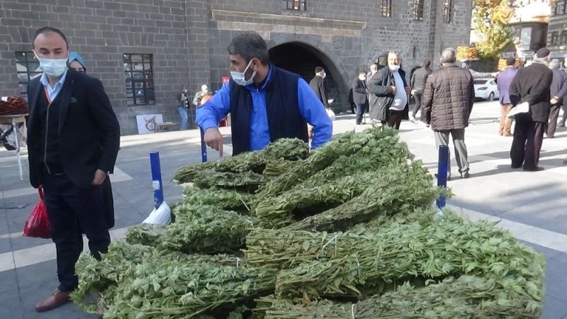 Kış aylarının vazgeçilmez içeceği adaçayına pandemide talep arttı
