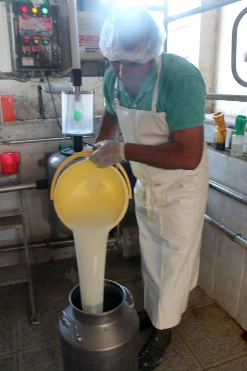 Üretici açıklanan çiğ süt fiyatlarını olumlu karşıladı
