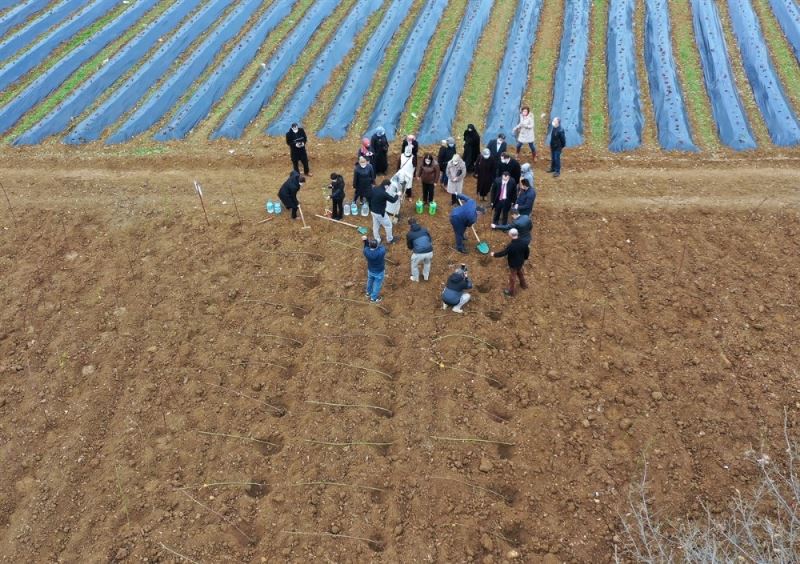 Bilecikli çiftinin yeni geçim kaynağı ahududu ve böğürtlen olacak
