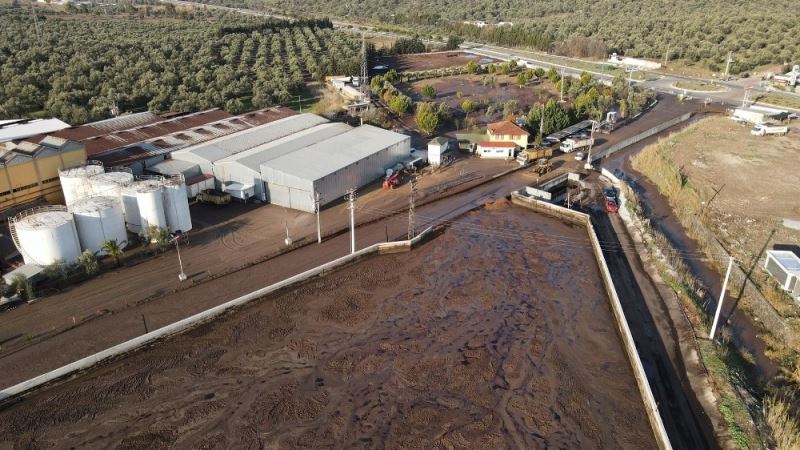 Ayvalık Belediyesi’nden çevre felaketine suç duyurusu
