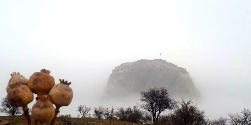 Tarihi Karahisar Kalesi sis altındaki görüntüsü ile büyüledi
