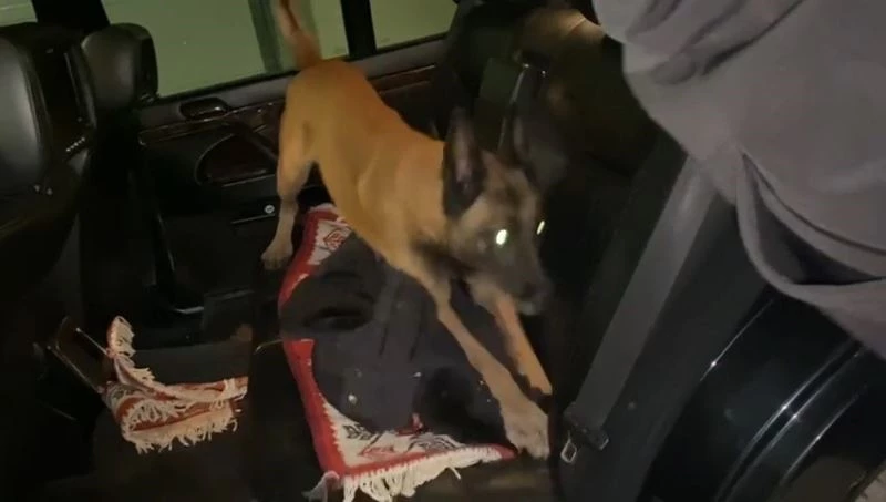 Bursa’da narkotik köpeği Galya 900 gram metamfetamin buldu
