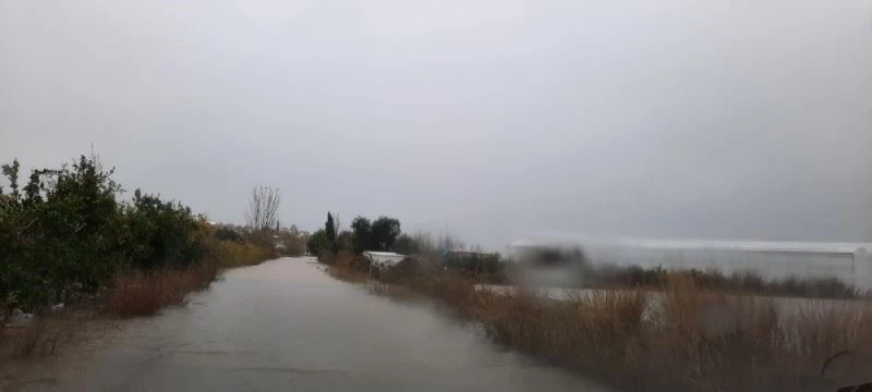 TARSİM: “Ülkemiz için üreten ve alın teri döken üreticimizin daima yanındayız”
