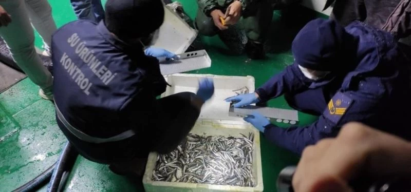 35 ton kaçak hamsi yakalandı, gemilere para cezası uygulandı
