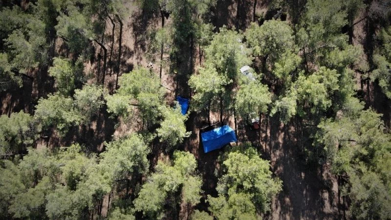 (Özel) 65 yıllık hayatının tamamını ormanda çadırda yaşayarak geçirdi

