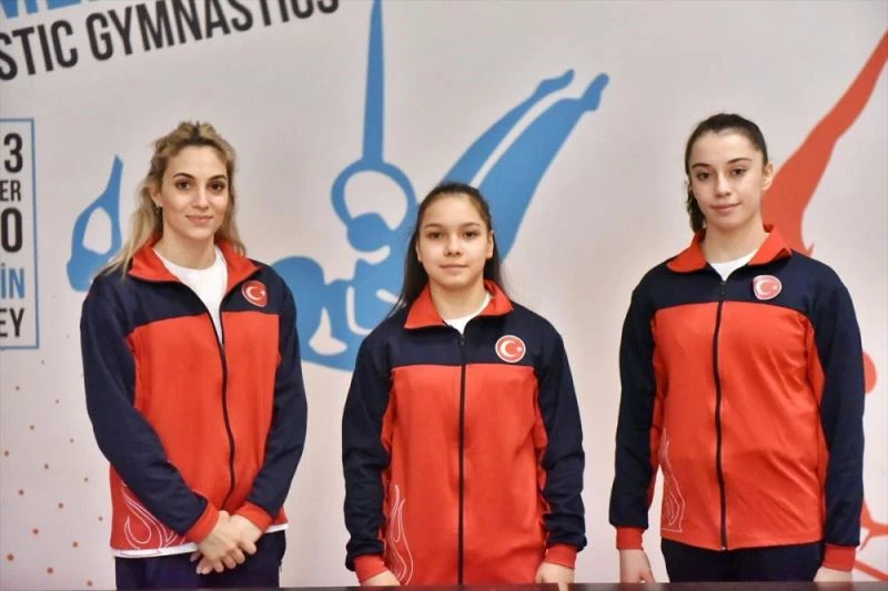 Avrupa Şampiyonası