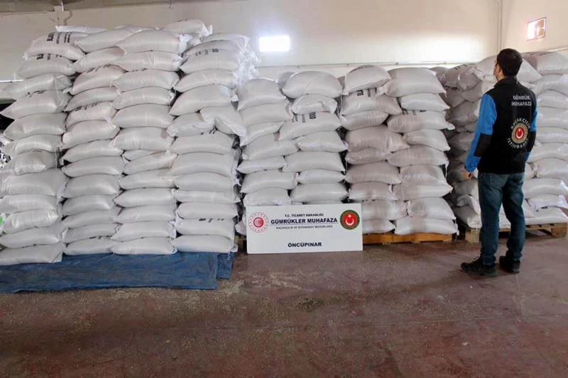 Bakla dendi yem bitkisi çıktı
