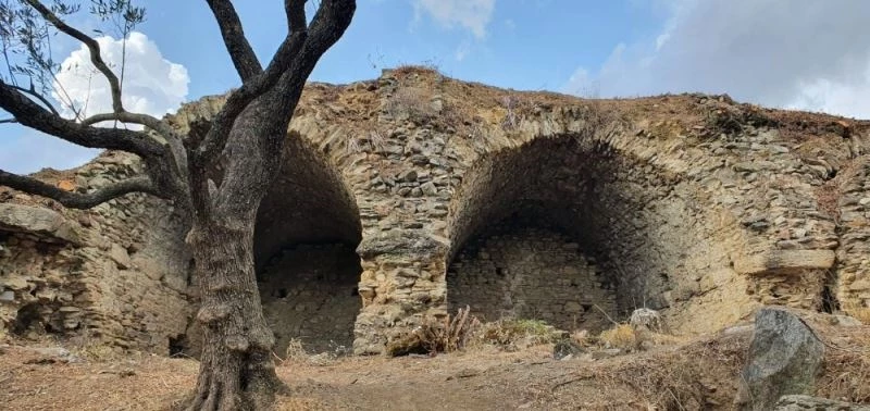 Mastaura 2020 yılının en önemli ikinci keşfi oldu
