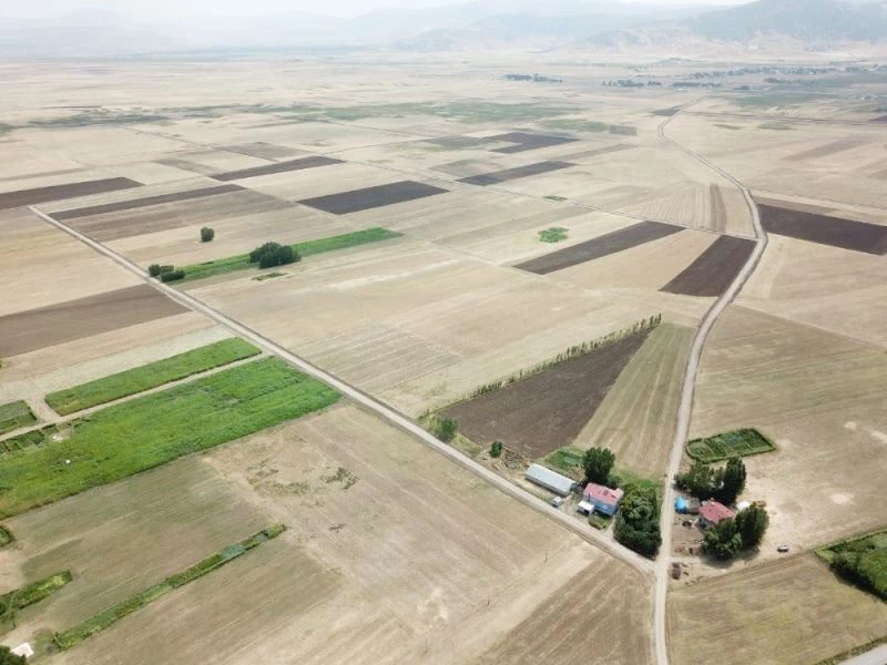 Muş ve Bitlis’te 189 bin 180 dekar alanda toplulaştırma yapıldı
