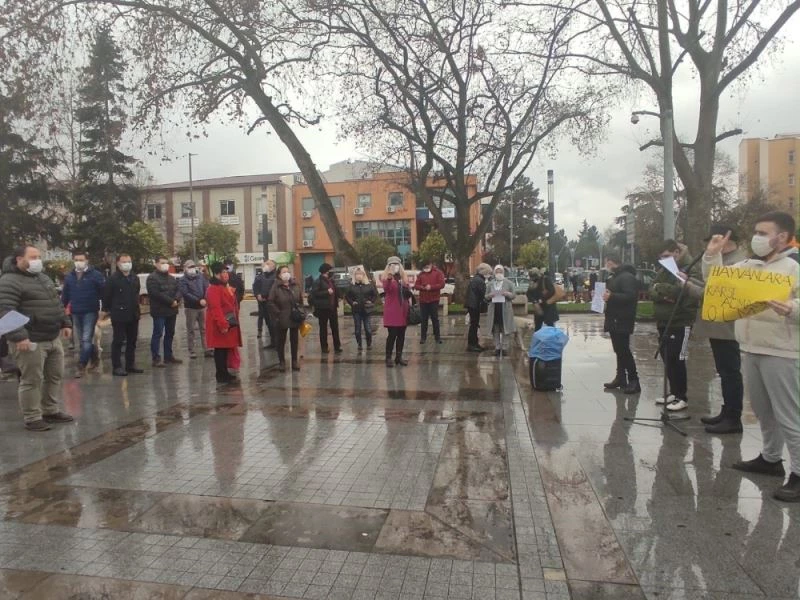 Sokak hayvanlarına eziyete tepki gösterdiler
