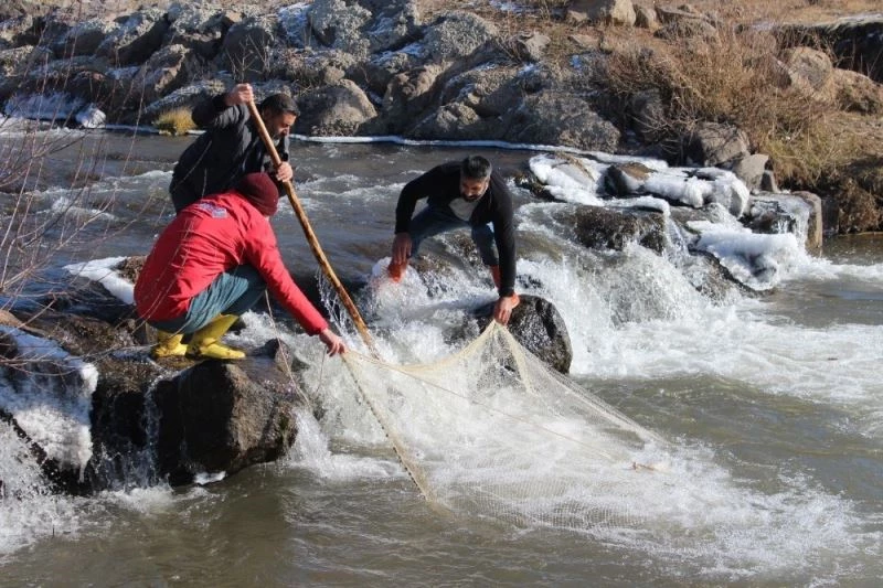 Ağrı’da balıkçılar ilk mesailerine başladı
