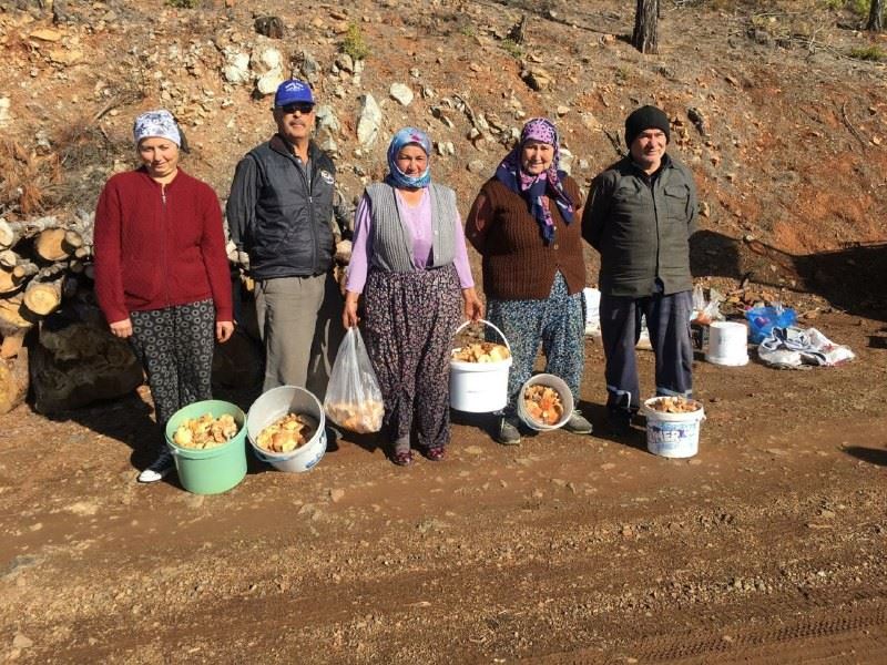 Fakirin eti çıntar için ormana akım başladı
