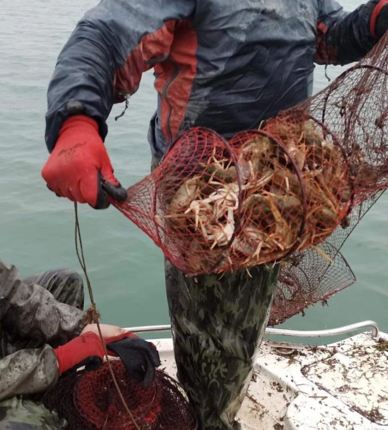 Eğirdir Gölü’nde 730 adet kerevit pinterine el konuldu
