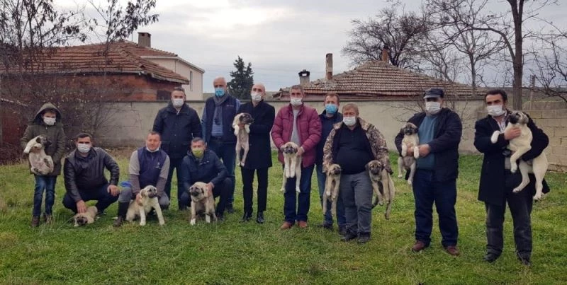 Saldırılar halkın uykularını kaçırmıştı, çareyi böyle buldular
