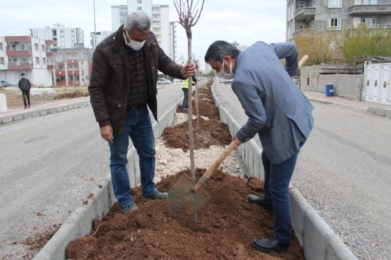 Kahta’da yeşillendirme çalışmaları devam ediyor
