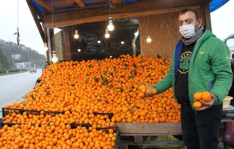 Vitamin deposu Derepazarı mandalinası tezgahları süslüyor
