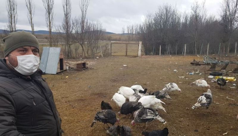 Pandemi ve yasaklar yılbaşı öncesi Eflani hindisine rağbeti azalttı
