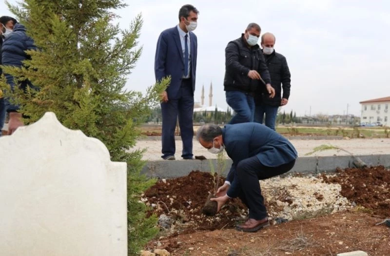 2020 Yılında vefat edenler adına ağaç dikiliyor
