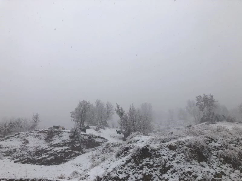 Dağda kar yağışına yakalanan çoban, keçileriyle mahsur kaldı
