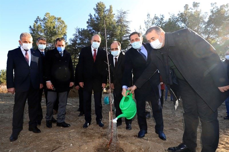 Amasya’da çiftçilere ’Amasya Misket Elması’ fidanı dağıtıldı
