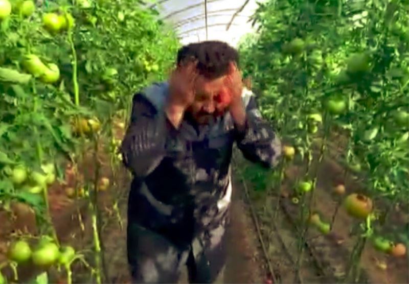 Kumlucalı çiftçiden ’kış domatesini yemeyin’ diyen doktora klipli cevap

