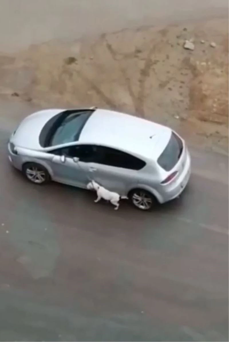 Köpeğini tasmasından tutup otomobilden sürükleyerek gezdirdi
