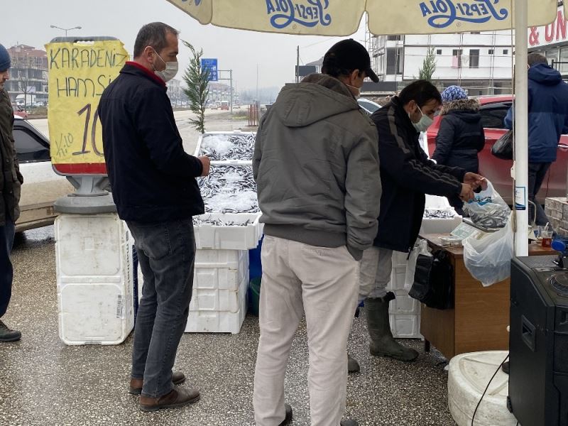 10 lira hamsiyi duyan tezgaha koştu
