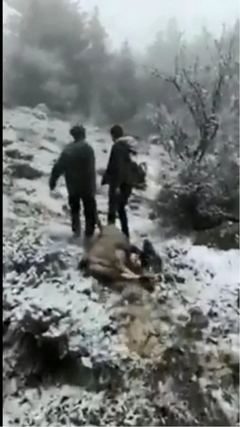 Dağ keçisi avlayan avcılar sosyal medyanın gündeminde
