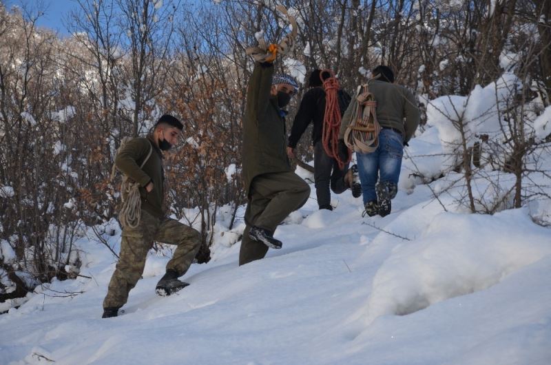 Karlı dağlarda zorlu yaşam: Yazın topladıkları samanları kışın köye indiriyorlar
