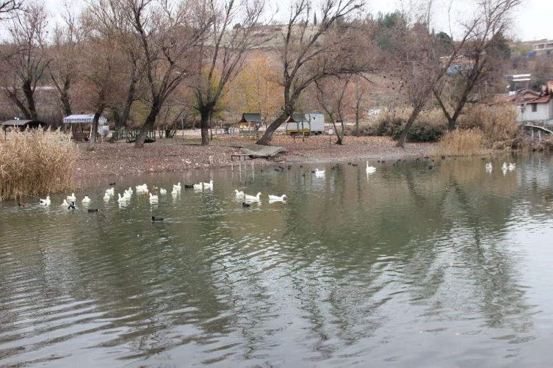 Gölbaşı gölleri kendisine hayran bırakıyor
