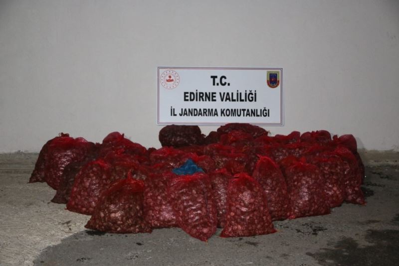 Edirne’de 1 ton kaçak kum midyesine 100 bin TL ceza kesildi
