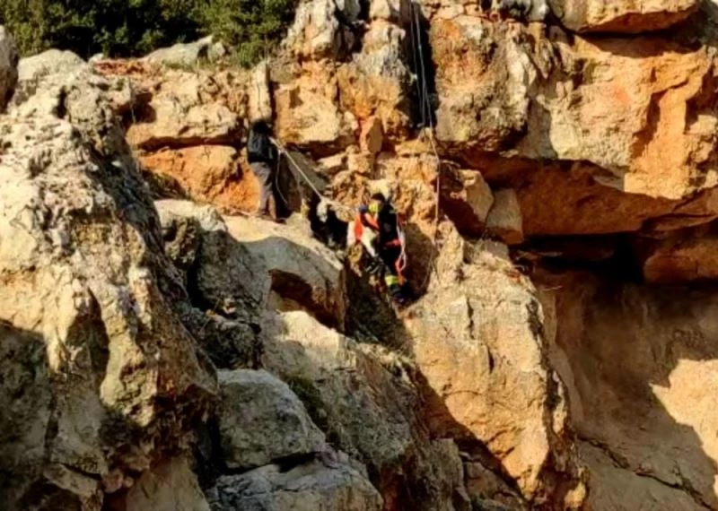 Uçurumda mahsur kalan keçiye kurtarma operasyonu
