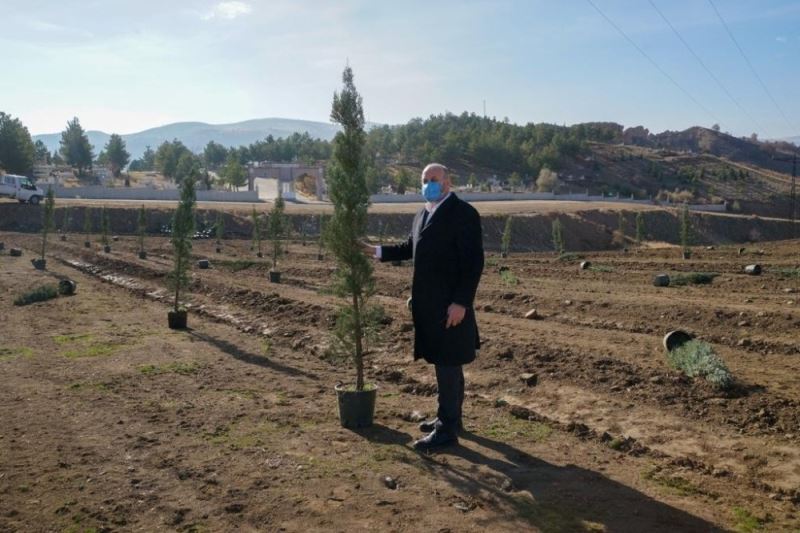 Bahşılı’da yeni mezarlık çalışmaları
