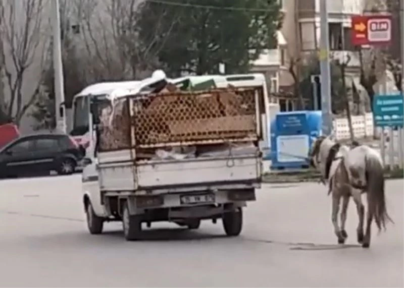 Manisa’da atın kamyonete bağlanıp yürütülmesi tepki çekti
