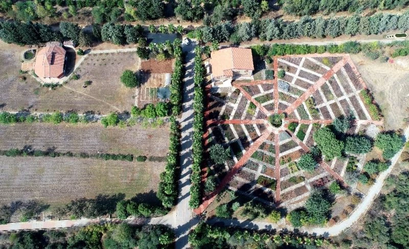 Türkiye’den kaçırdıkları şifalı bitkileri ilaç olarak geri satıyorlar
