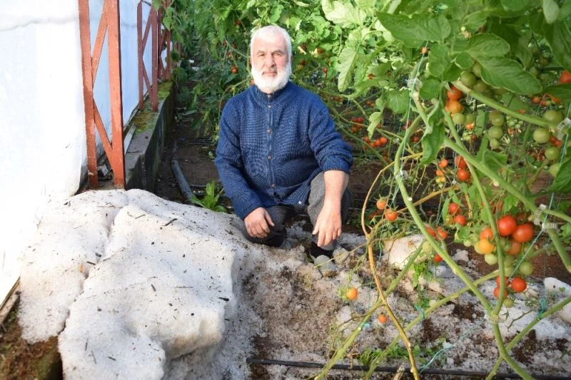 Sel, dağdan getirdiği molozları seraların içine bıraktı
