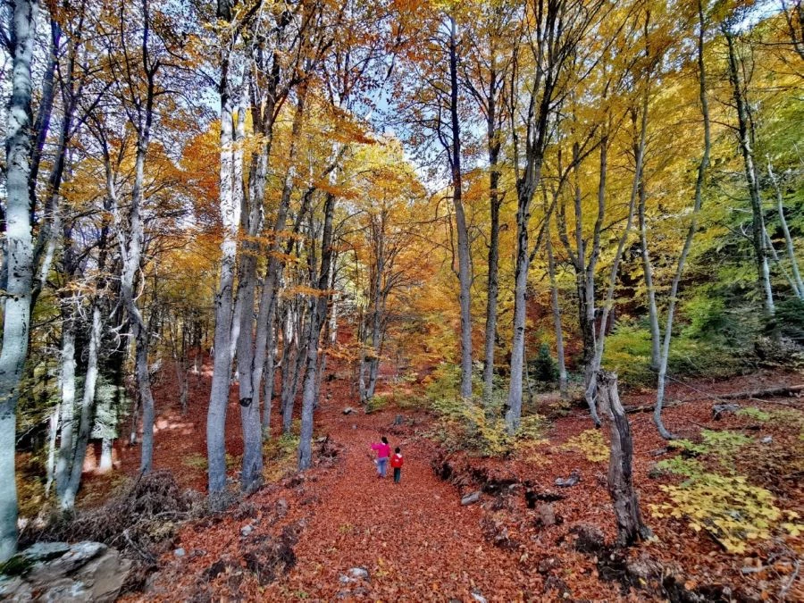 7 OCAK ETKİNLİKLERİ KAPSAMINDA DÜZENLENEN FOTOĞRAF YARIŞMASI SONUÇLANDI