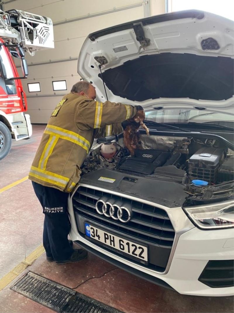 Aracında kedi olduğunu fark eden sürücü soluğu itfaiye garajında aldı
