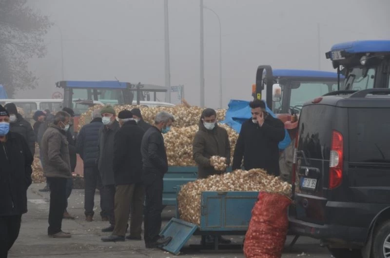 Taşköprü Sarımsağı, Avrupa Birliği yolunda
