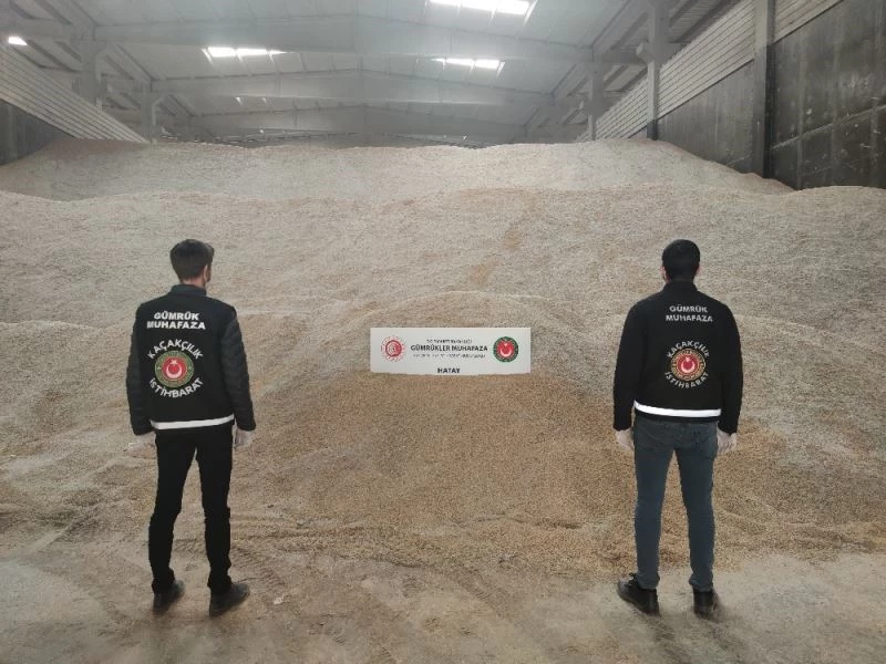 Hatay’da genetiği değiştirilmiş 5 bin ton pirinç ele geçirildi
