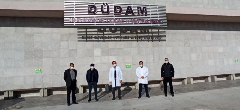 Üniversite’nin denek hayvanları denetimden geçti
