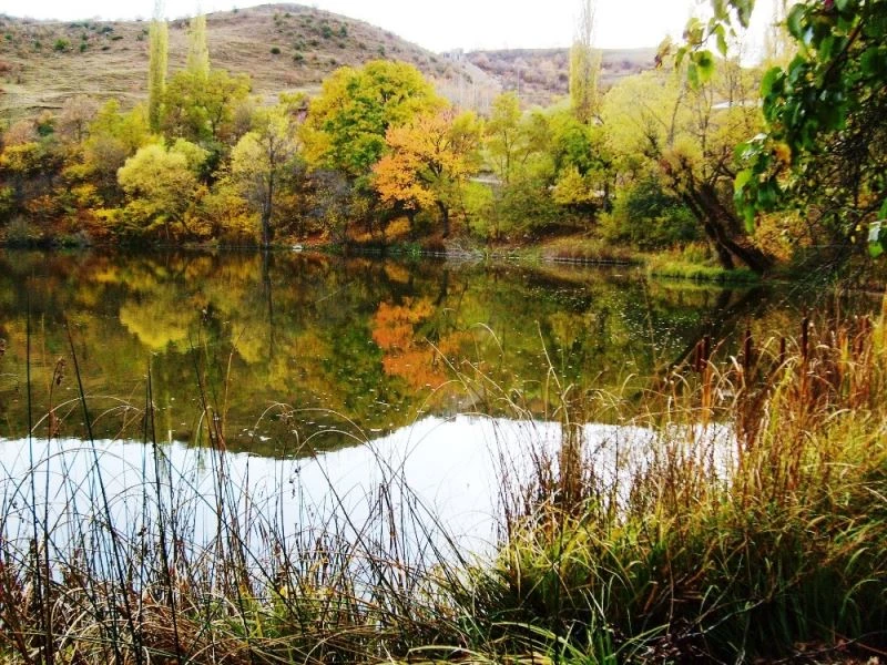 Başarılı Muhtar köyünde ilkleri başarıyor
