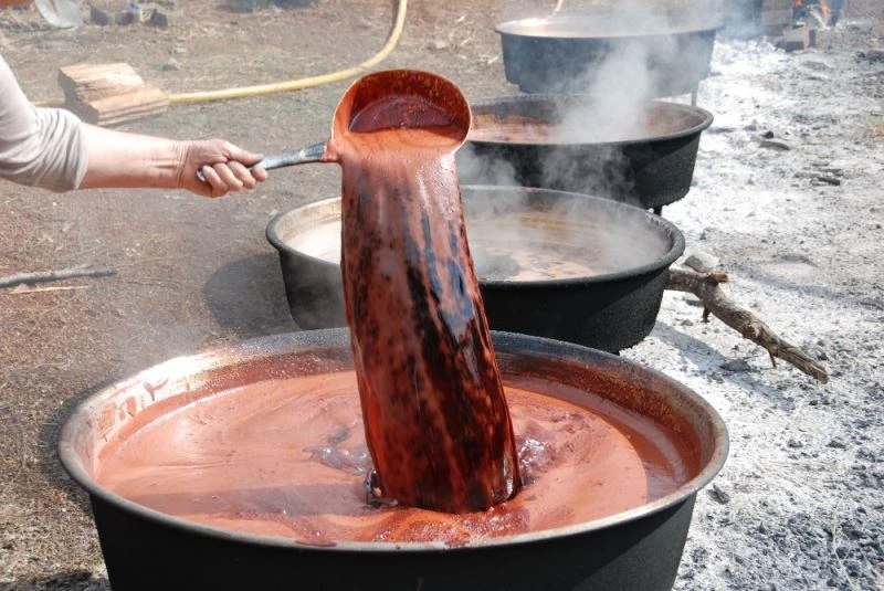 Toroslardan toplanıyor sadece pekmez olarak tüketiliyor
