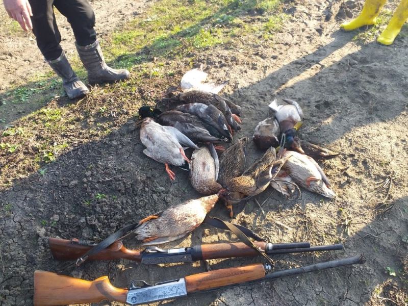 Öğretmenden Kuş Cenneti’nde ördek katliamı
